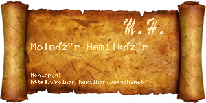 Molnár Hamilkár névjegykártya